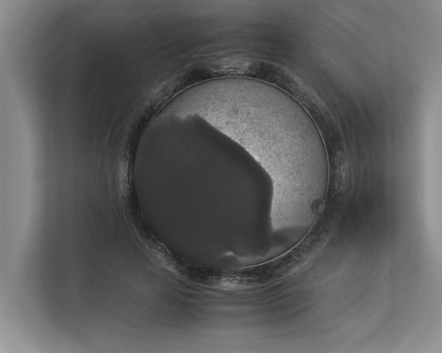 X0000112830641200909041503