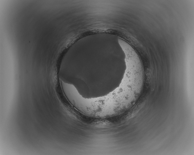 X0000112830642200909041503