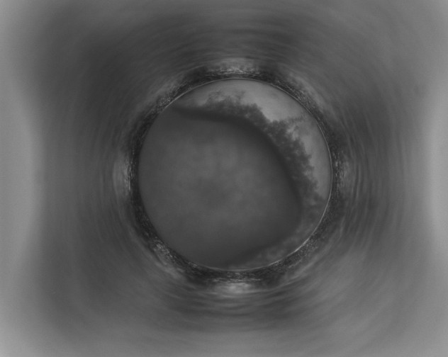 X0000112830643200909041503