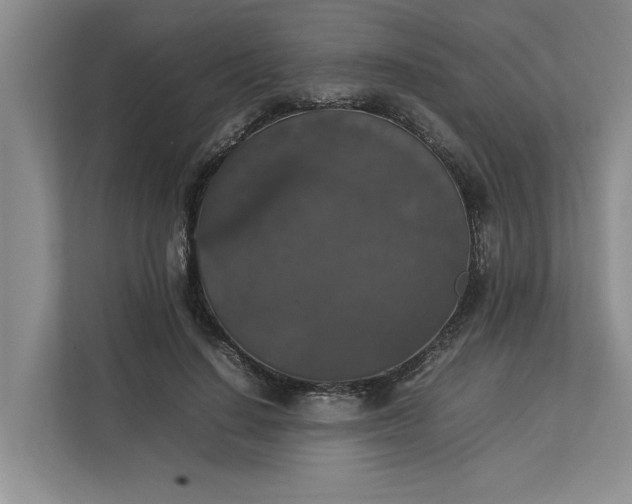 X0000112830644200909041503