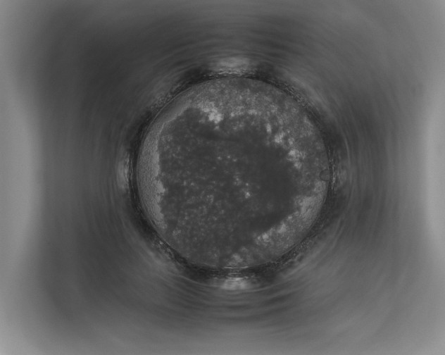 X0000112830647200909041503