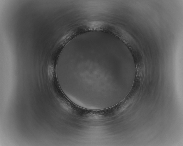 X0000112830648200909041503