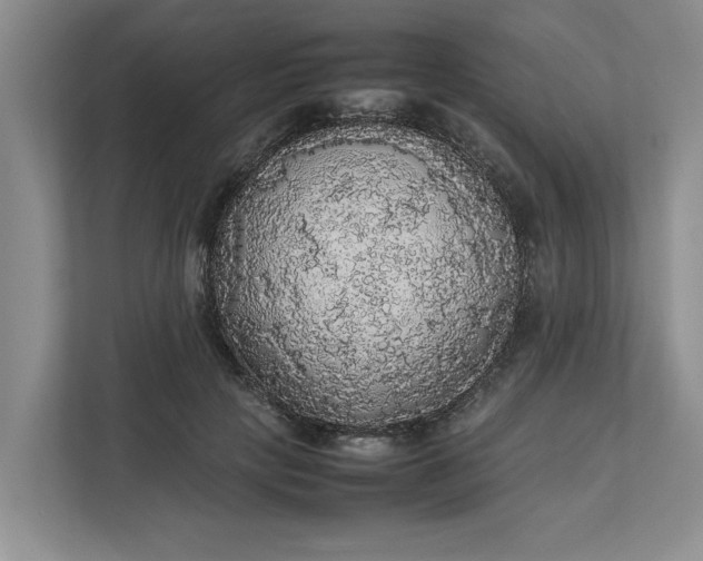 X0000112830649200909041503