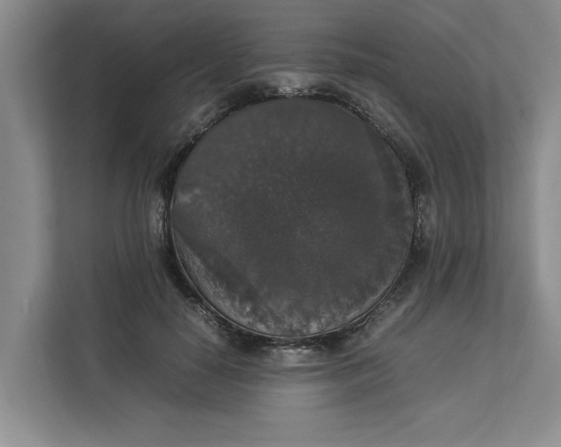 X0000112830650200909041503