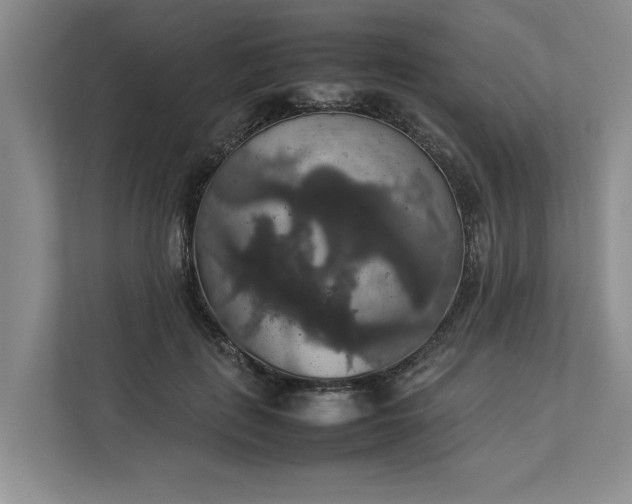 X0000112830651200909041503