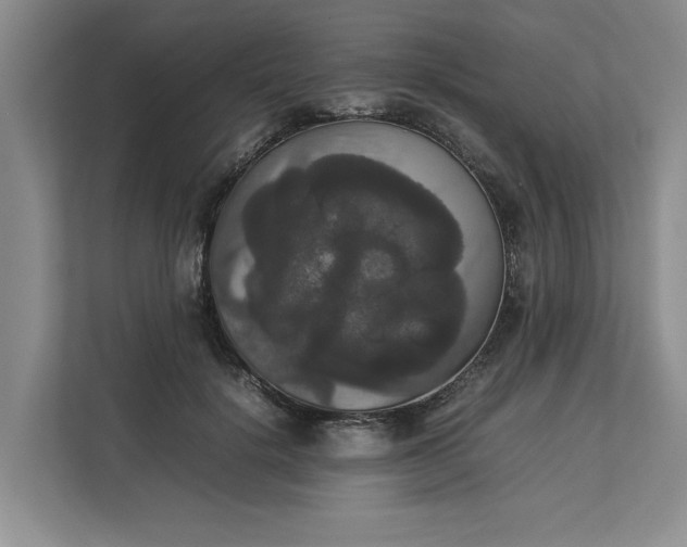 X0000112830652200909041503