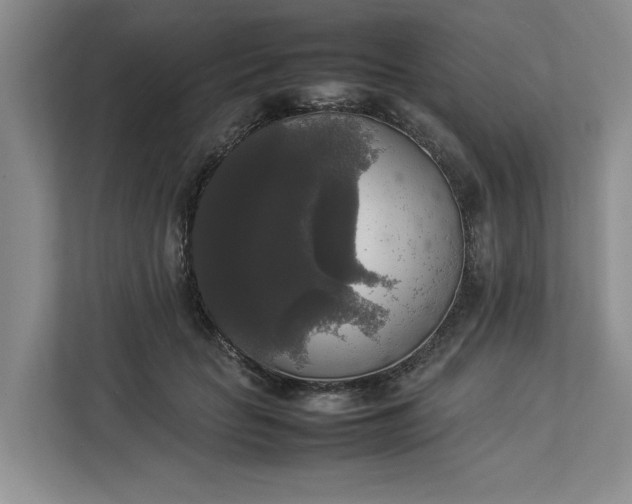 X0000112830653200909041503