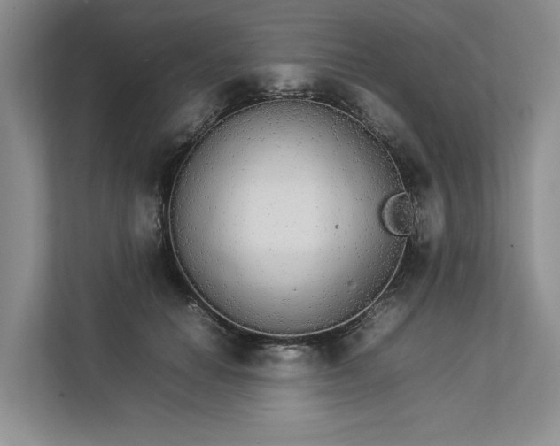 X0000112830654200909041503