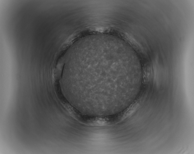 X0000112830656200909041503