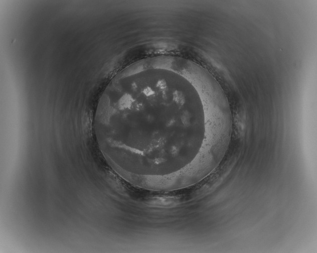 X0000112830657200909041503