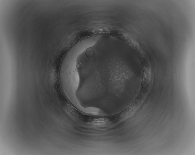 X0000112830659200909041504