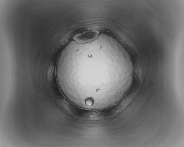 X0000112830660200909041504