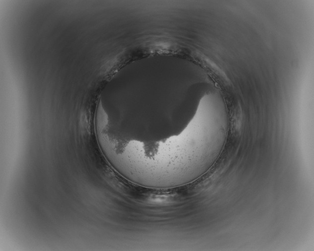 X0000112830661200909041504