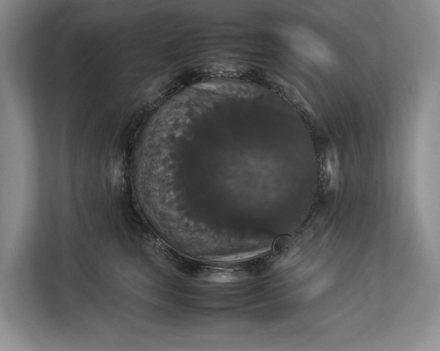 X0000112830663200909041504