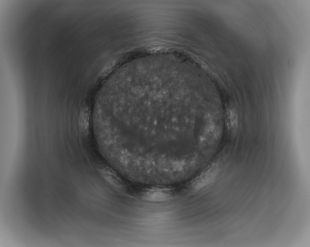 X0000112830664200909041504