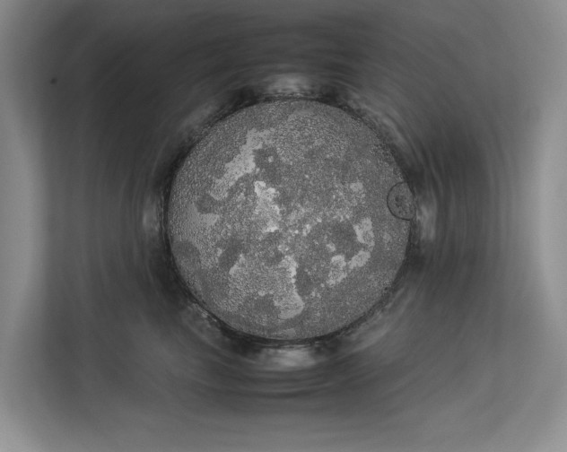 X0000112830665200909041504