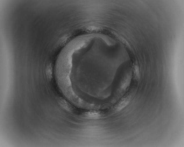 X0000112830668200909041504