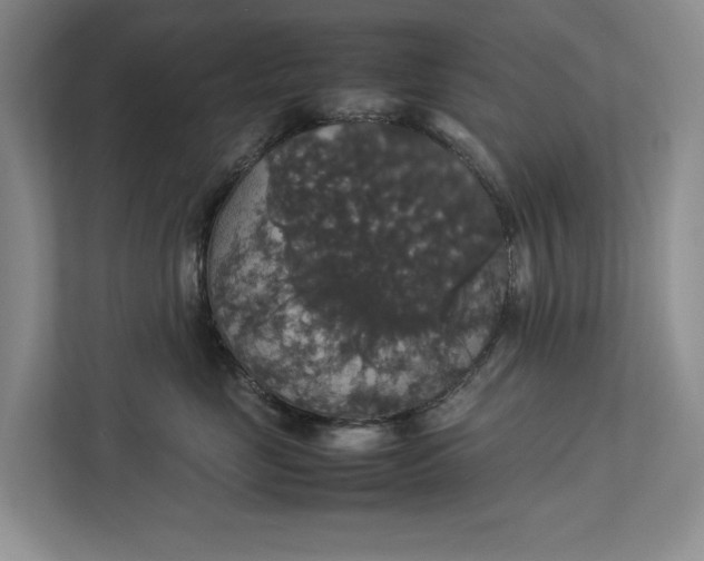 X0000112830669200909041504