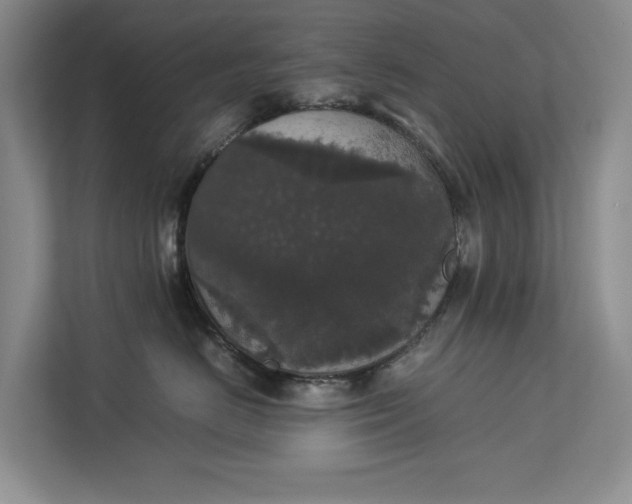 X0000112830670200909041504