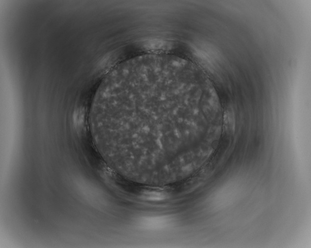 X0000112830671200909041504