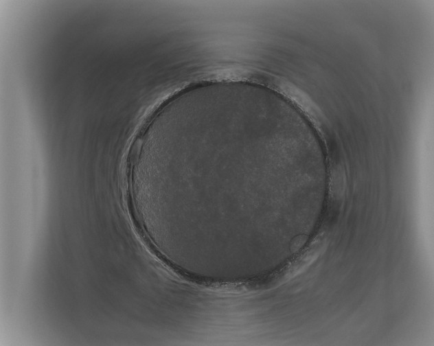 X0000112830673200909041503