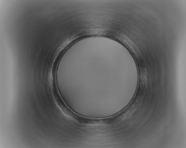 X0000112830674200909041503