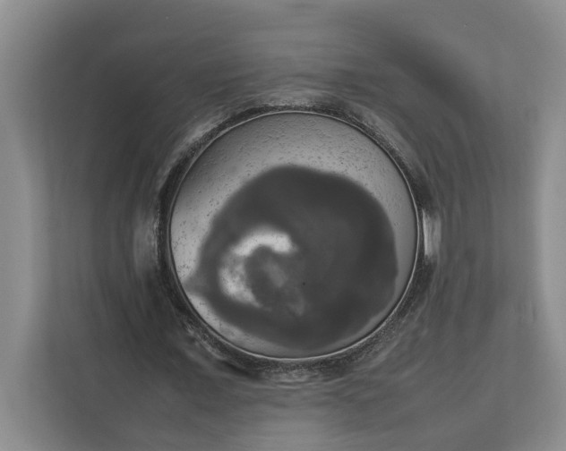 X0000112830675200909041503