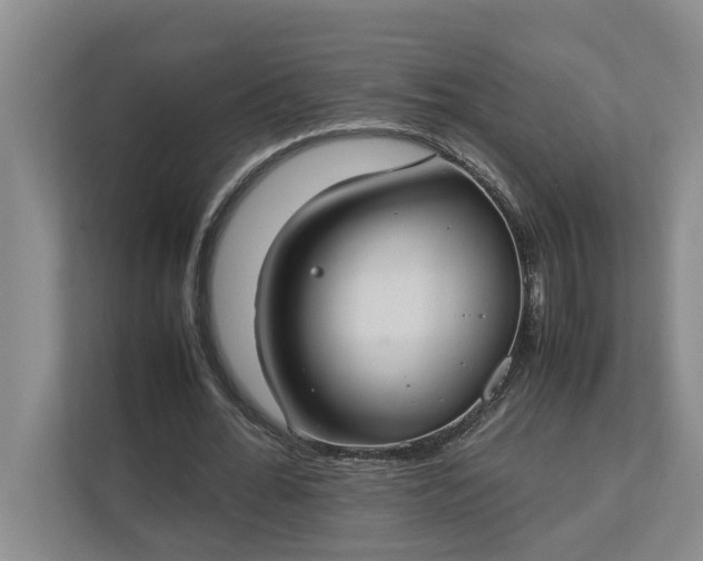 X0000112830676200909041503