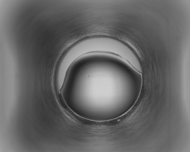 X0000112830677200909041503