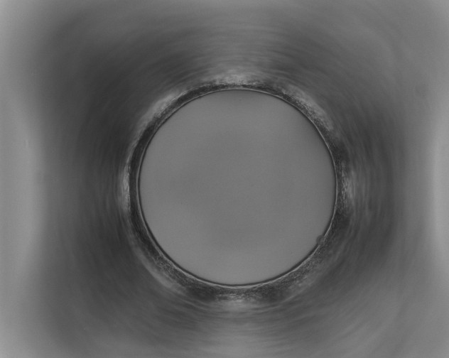 X0000112830678200909041503