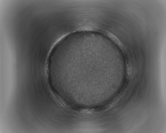 X0000112830680200909041503