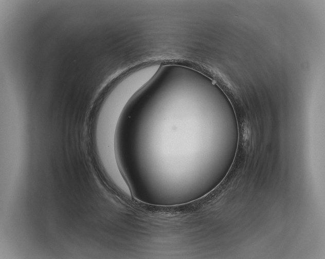 X0000112830684200909041503