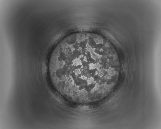 X0000112830687200909041503