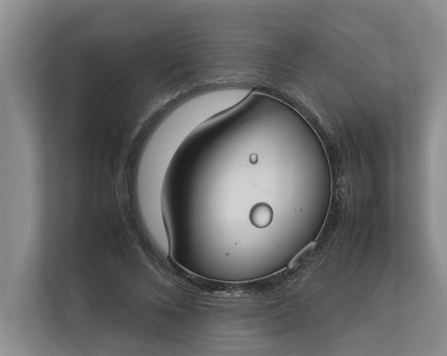 X0000112830688200909041503