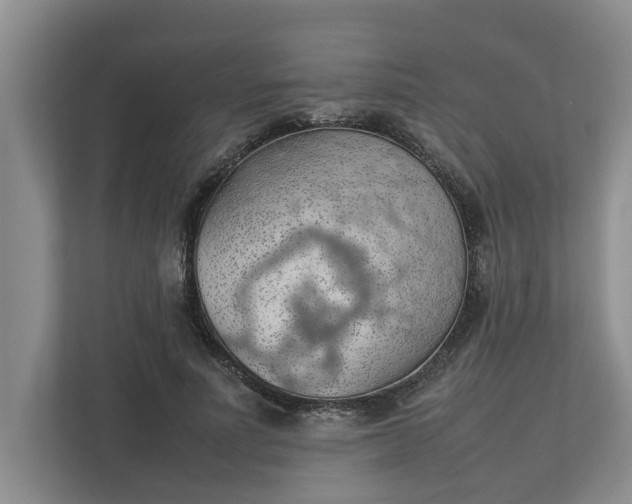 X0000112830691200909041503