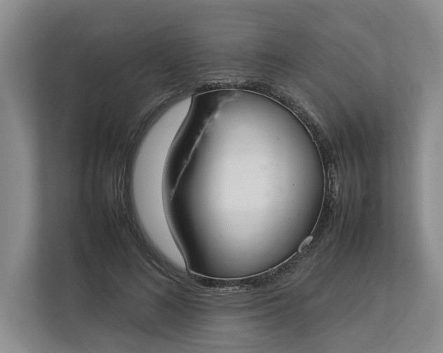 X0000112830692200909041503