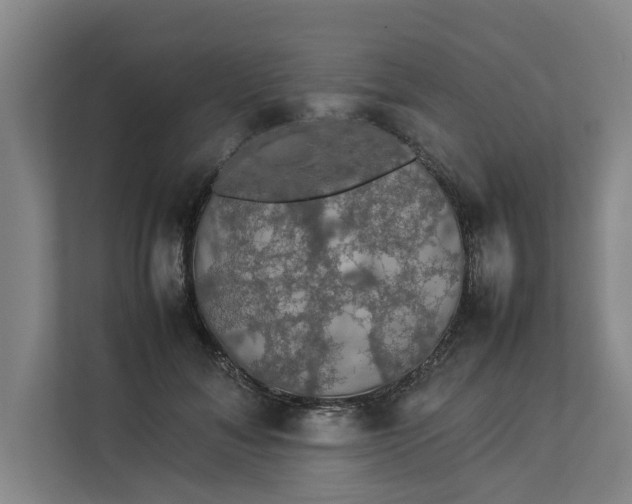 X0000112830700200909041503