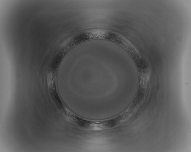 X0000112830701200909041503