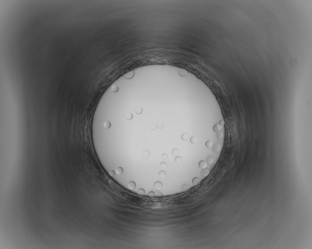 X0000112830702200909041503