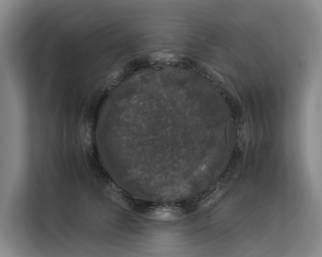 X0000112830708200909041503