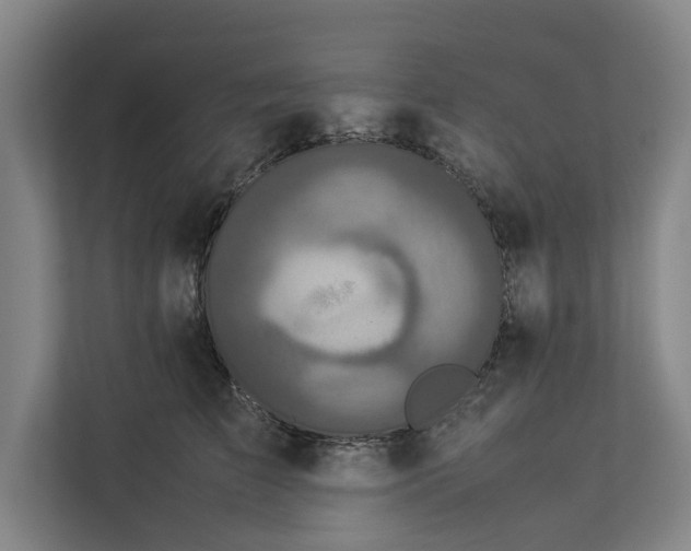 X0000112830709200909041503