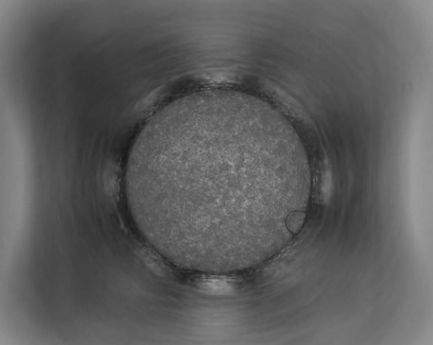 X0000112830710200909041503