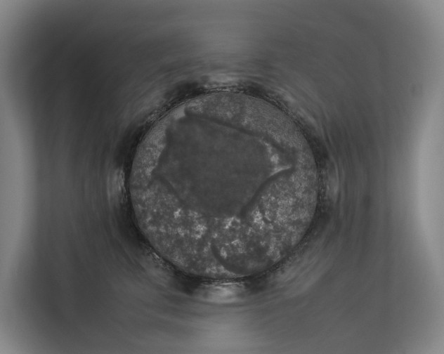 X0000112830711200909041503