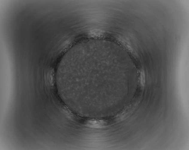 X0000112830712200909041503