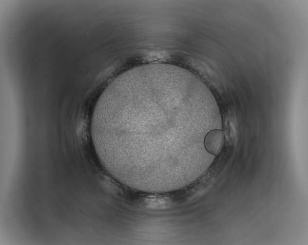 X0000112830714200909041503