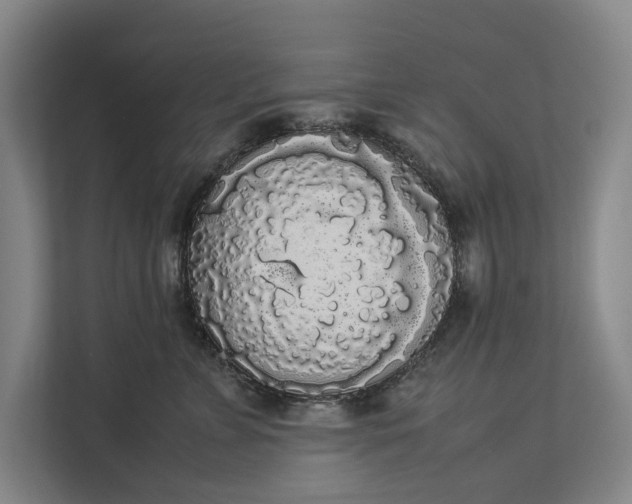 X0000112830715200909041503