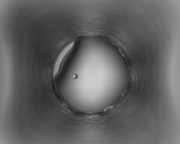 X0000112830716200909041502