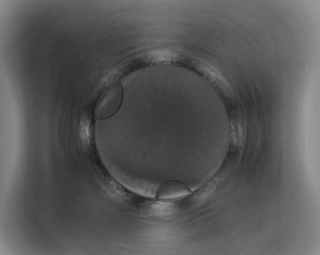 X0000112830718200909041502