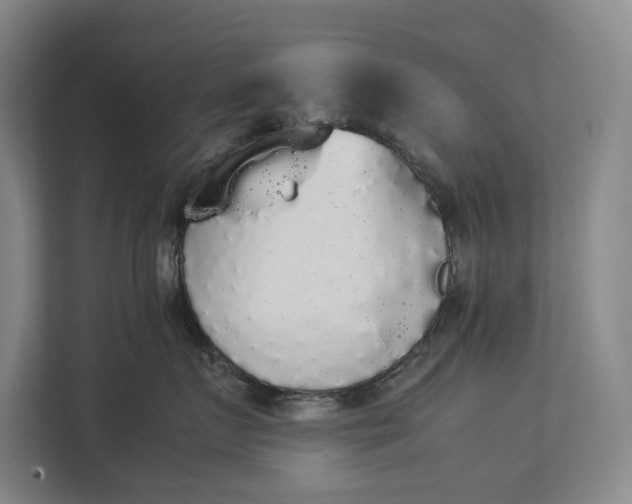 X0000112830719200909041502