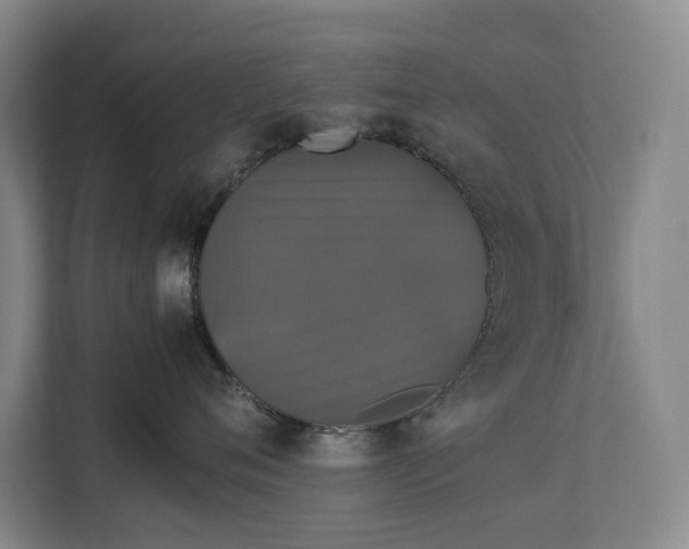 X0000112830720200909041502